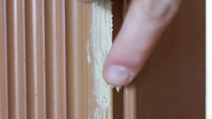 How to Fix Cat Scratches on Wall: 8 Steps Ultimate Guide
