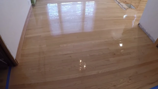 Will a Dehumidifier Help Hardwood Floors from Sweating