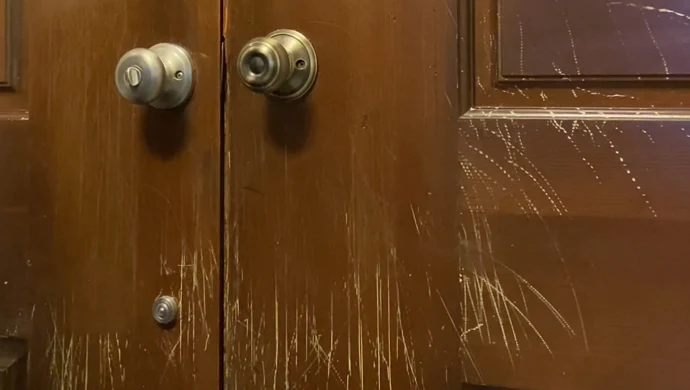 How To Repair Cat Scratches On Door Frame